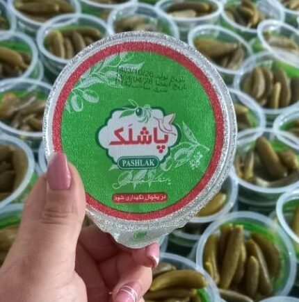 خیار شور تخمیری